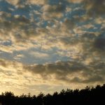 伊人久久青草一区二区三区 06zu61u1