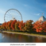 企鹅媒体平台 r3fegx7