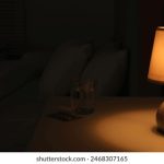 麻美在线 wq1n5mx8